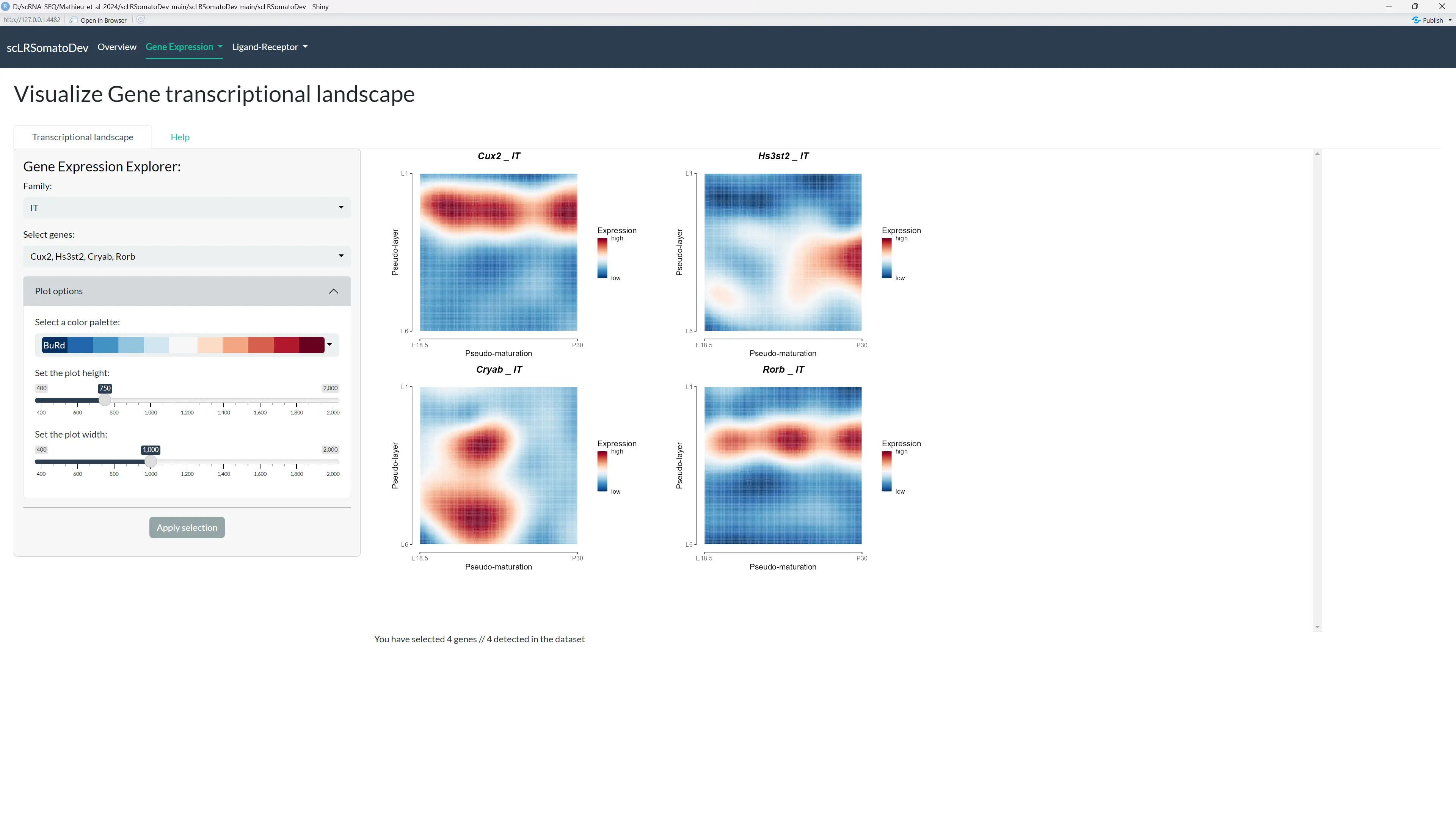 Transcriptional landscape